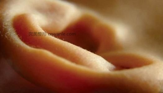 1歲內(nèi)的嬰兒應(yīng)該怎么做隱<a href='/tag_erzhengxing.html'>耳整形</a>?
