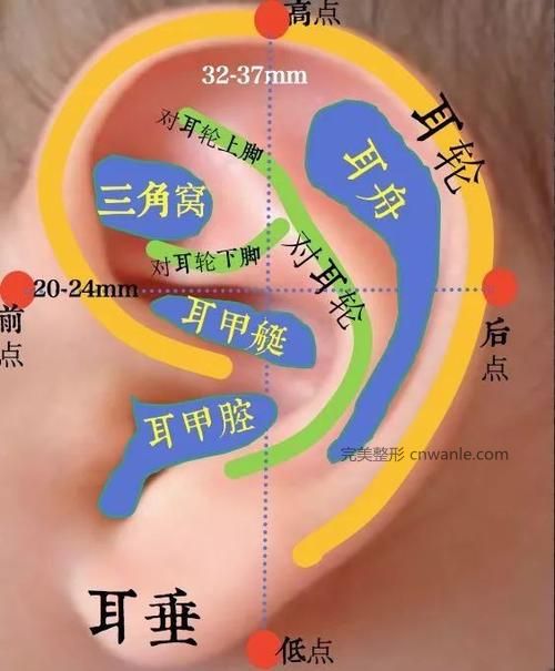 耳廓再造手術(shù)原則有哪些？