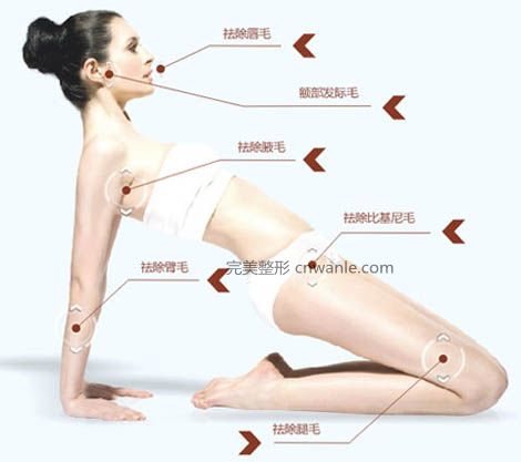 冰點(diǎn)脫毛迎接夏季