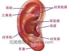 項(xiàng)目