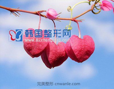 口角成型，美麗口角