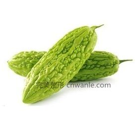 春夏季苦瓜怎么吃才能起到減肥的效果