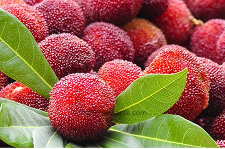 冰點脫毛是永久的嗎 永久脫毛讓你擺脫困擾