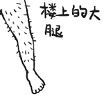 脫毛