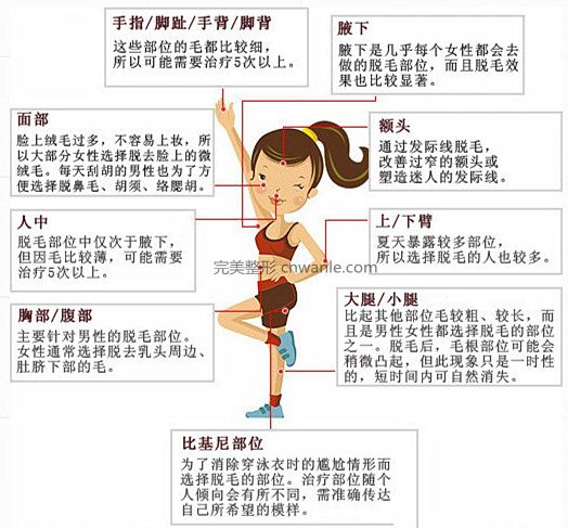 冰點(diǎn)無(wú)痛 脫毛儀不同部位脫毛應(yīng)用