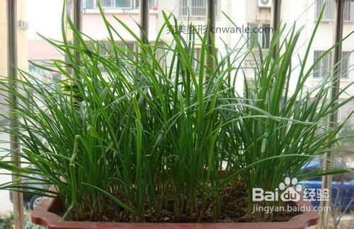 春季<a href='/tag_jiankangjianfei3.html'>健康減肥</a>喝什么粥好？