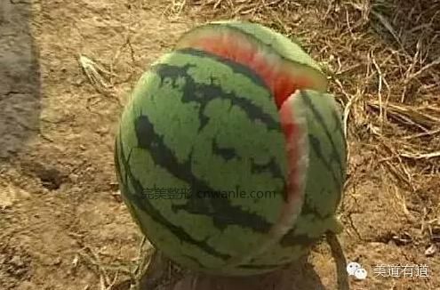 點擊圖片查看幻燈模式