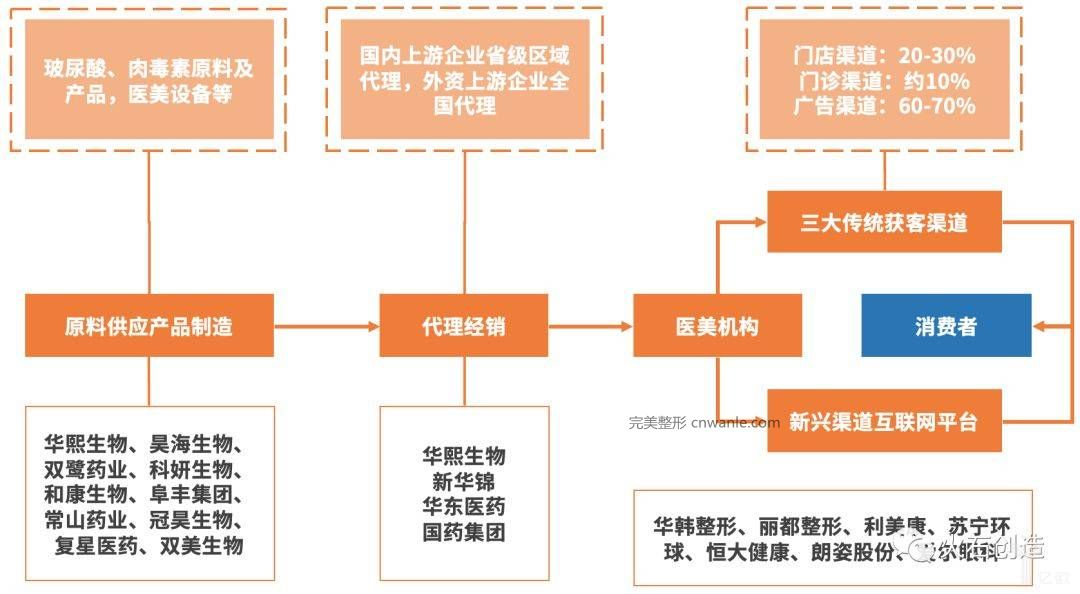 圖3  醫(yī)療美容產(chǎn)業(yè)鏈分布.jpeg