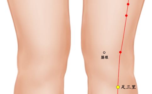 中醫(yī)敲打什么穴位能祛斑 女性美容養(yǎng)顏喝什么粥 哪些穴位可以祛斑
